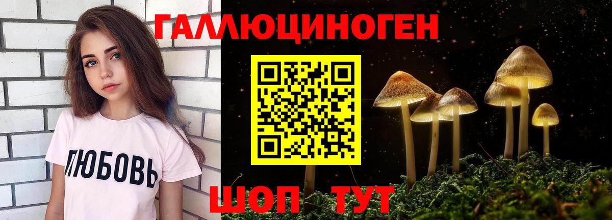 Мичуринск  Галлюциногенные грибы Cubensis  Вход с VPN 
